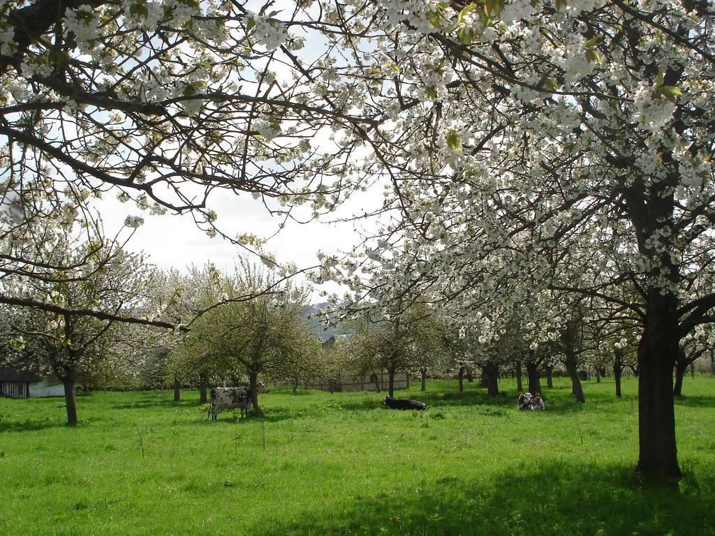 Chambres D'Hotes Au Temps Des Cerises Jumièges Eksteriør bilde